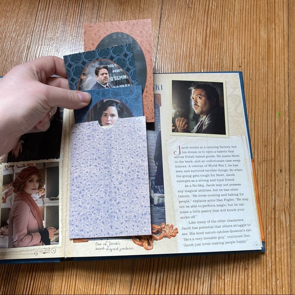 Fantastic Beasts HP Bundle retail $70! - Picture 3 of 16